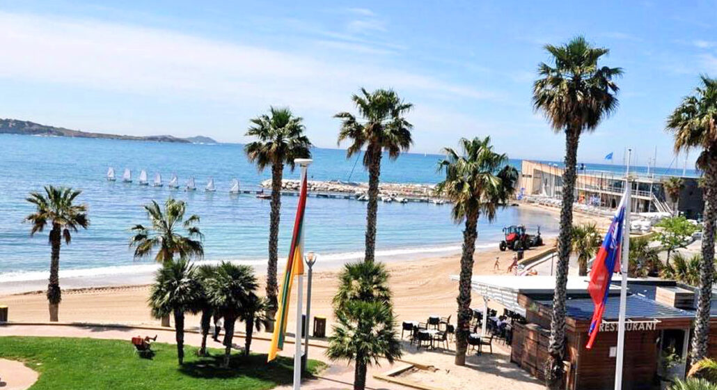 Palm B
