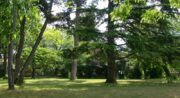 Parc de la Maison des Frères/Le Beausset