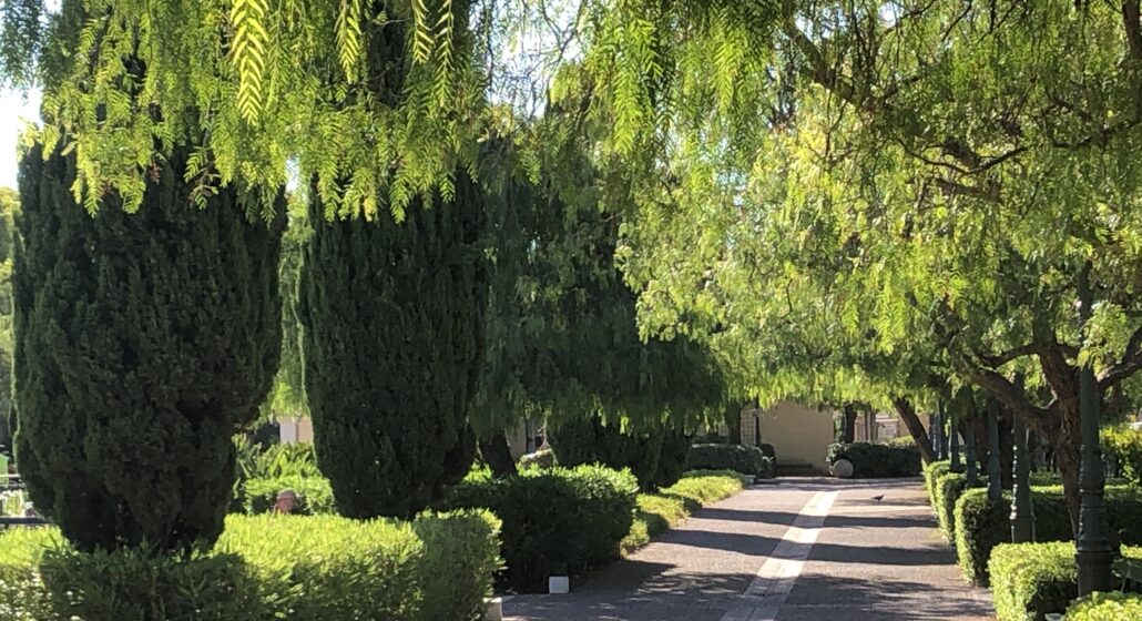 Les jardins de la ville