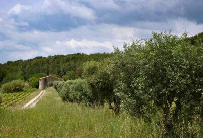 Domaine de Nartette