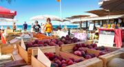 Marché Saint Cyr les pieds dans l'eau