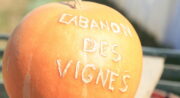 Le Cabanon des vignes