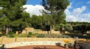 Le jardin des oliviers