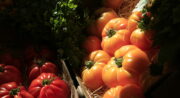 Le Marché
