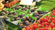 Le Marché