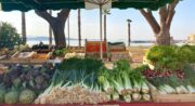 Marché hebdomadaire Bandol