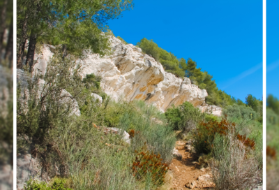 La Roche Curade – APIDAE